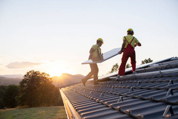 Best Skylight Installation and Repair  in Hattiesburg, MS