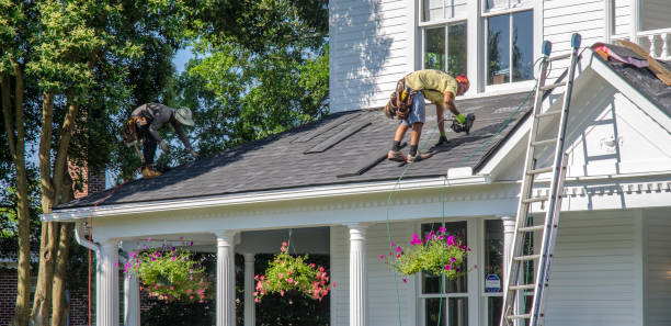 Best Roof Ventilation Installation  in Hattiesburg, MS